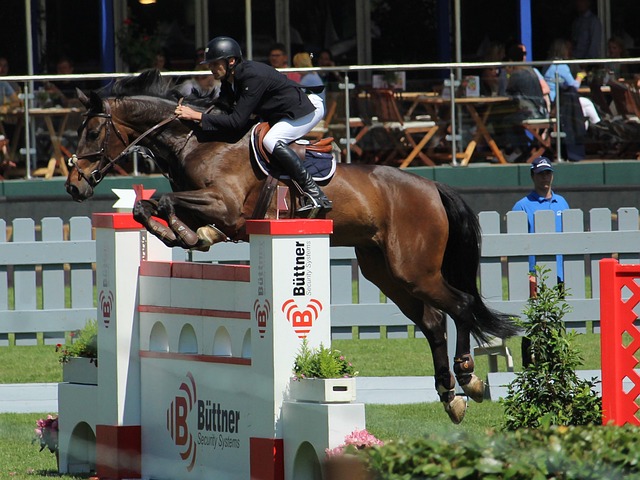 力與挑戰 力與挑戰